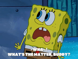 season 8 barnacle face GIF by SpongeBob SquarePants