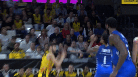Liga Endesa Basketball GIF by ACB