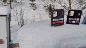 GIF by Skiingcreed