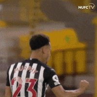 Newcastle United Murphy GIF by Newcastle United Football Club