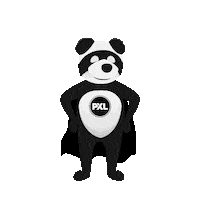 hogeschoolpxl college fly superhero panda Sticker