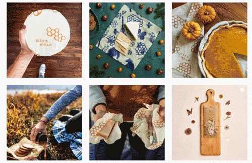 Beeswrap giphyupload GIF