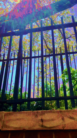 mollie_serena glitch rainbow walking walk GIF