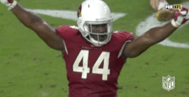 2018 Nfl Football GIF by NFL