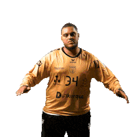 Sport Handball Sticker by USDK