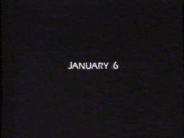 January 6 Trump GIF