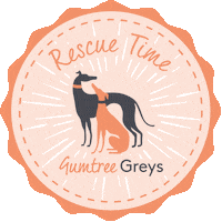 Greyhound Sticker by I Heart Greyhounds