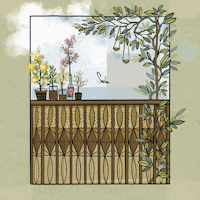 Women Saree GIF by Suta Bombay