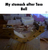 stomach GIF