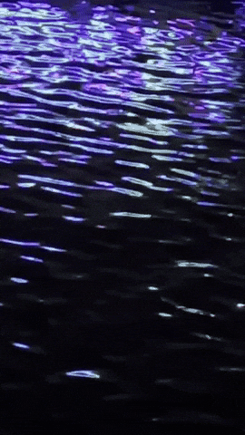 Egypt Nile GIF
