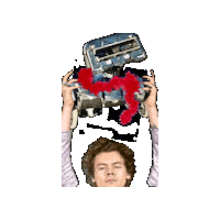 flannelraccoon harry styles stomper flannelraccoon flippystomper Sticker