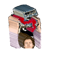 flannelraccoon harry styles stomper flannelraccoon Sticker