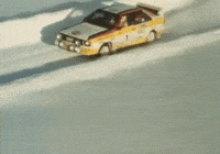 Snow Speed GIF by FIA World Rally Championship