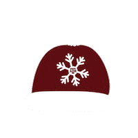 texas am snow Sticker by Texas A&M University