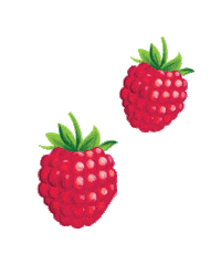 Organic Sticker by Sweet Leaf Tea