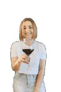 kochkunststuecke cheers wine prost wein Sticker