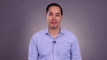 Endorse Elizabeth Warren GIF