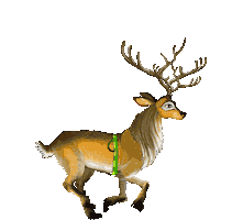 2d animation STICKER