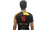 Volleyball Sticker by Volley Treviso