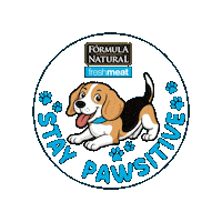 Pets Petfood Sticker by Pet Nutri