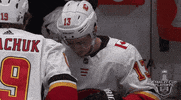 Ice Hockey Sport GIF by NHL