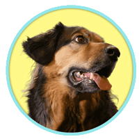 Sticker by Crowdmedia