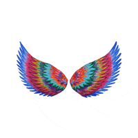 teamisabellalombardo teamisabellalombardo Sticker
