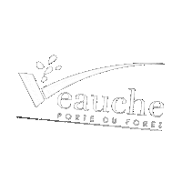 villedeveauche loire veauche Sticker