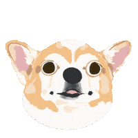Dog Taiwan Sticker