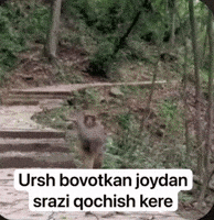 Uzbek Uz GIF