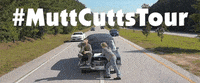 dumbingsoon GIF by Dumb and Dumber To