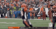 Regular Season Dance GIF by NFL