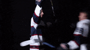 lmuicehockey celebrate goal hockey win GIF