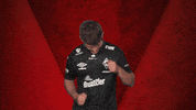Werder Predator GIF by Bundesliga