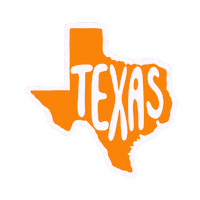 Texas State Usa Sticker