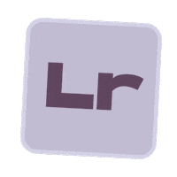 Video Photo Sticker