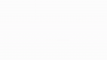 Animated Black Friday Slides