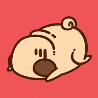 GIF by Puglie Pug