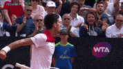 novak djokovic celebration GIF by Tennis TV
