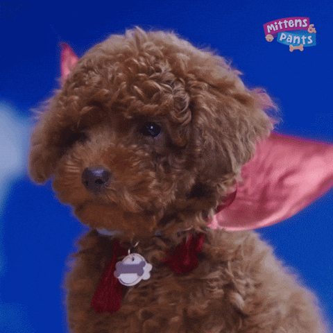 Dogs Puppy GIF by Mittens & Pants