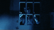 night windows GIF