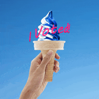 siegelgale sticker vote election i voted GIF