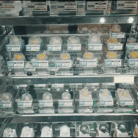 Store Andrew GIF by Exclusive Brands