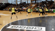 Czech Republic Handball GIF by HCB Karviná