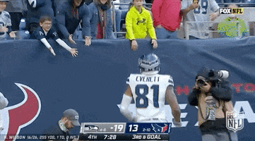 Seattle Seahawks Football GIF by NFL