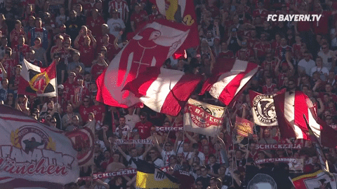 red white love GIF by FC Bayern Munich