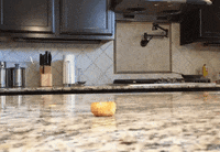 cri GIF