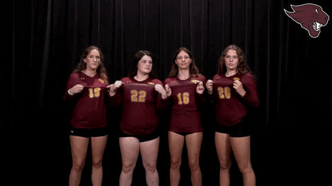 Volleyball GIF by CUCougars