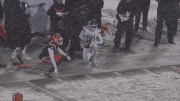 Northwestern Football GIF by Northwestern Athletics