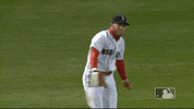 Regular Season Sport GIF by MLB